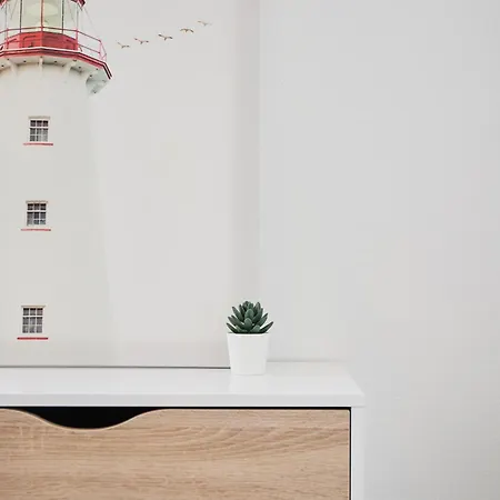 Appartement Charme Et Confort Entre Jardin Des Plantes Et Lu Nantes